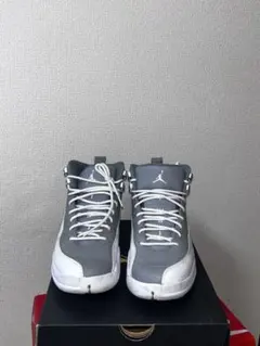 US6.5 美品　Air Jordan 12 Retro 06 グレー/ホワイト