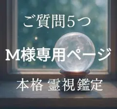 M様専用ページ ご質問5つ 本格霊視鑑定 深掘り鑑定 チャット占い