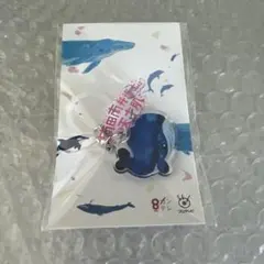 南田南弁護士は天才肌 番組公式グッズ当選品 めじるしアクセサリーチャーム 비매품