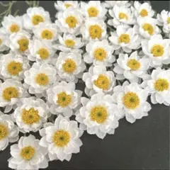 こはる姉様 リクエスト 2点 まとめ商品