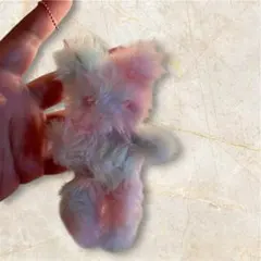 Item thumbnail for item 6ac32982-ec86-4bb5-9344-7891b424e247