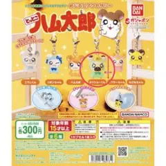 とっとこハム太郎　めじるしアクセサリー