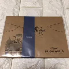 スヌーピー★レターセット★グランピ【新品】