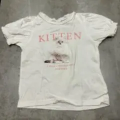 バースデイ　cottoli ベビーTシャツ　80センチ