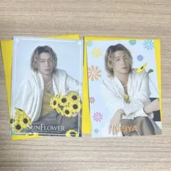 瀬口黎弥　フォトカード