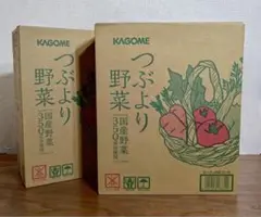カゴメ　つぶより野菜60本（賞味期限2025/10/4） 51MC9ow0y5L.jpg