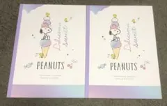新品　SNOOPY ノート　2点セット