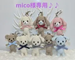 【専用】あみぐるみキーホルダー