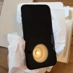 新品Apple iPhone 12 Pro パシフィックブルー 256gb