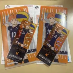 一番くじ ハイキュー I賞 日向翔陽 チケットケース&クリアカードセット