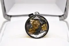 パラサイト隕石 17mm 両面仕様 水晶カバー ペンダントSilver925 - メルカリ
