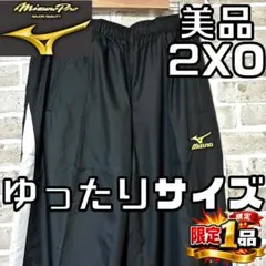 【早い者勝ち✨】ミズノプロ メンズ トレーニングパンツ 2XO ブラック系 黒