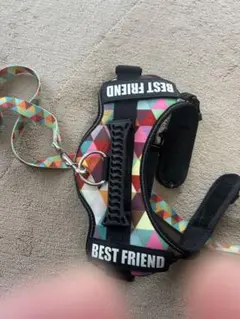 美品カラフル幾何学模様ハーネス・リードセット