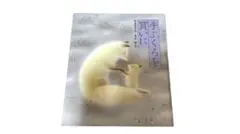 Item thumbnail for item 9177bc00-4e19-4f94-af10-54c6cfe045dd