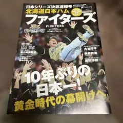 稲葉篤紀 2000本安打達成記念 DVD 非売品 - メルカリ