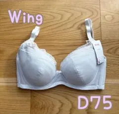 Item thumbnail for item 0a6c53dc-32ce-474c-8a8a-cfe2a5a8c0c3