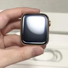 付属品完備 Apple Watch SE（第1世代）GPSモデル 44mm