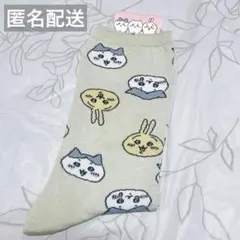 Item thumbnail for item 455a694b-8afd-4bc1-afd8-52ec93d68177