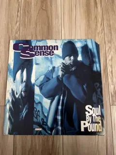 Common Sense Soul By The Pound