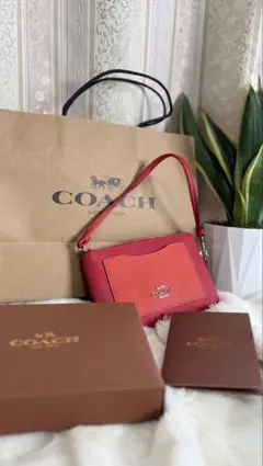 [未使用]COACH mini pouch