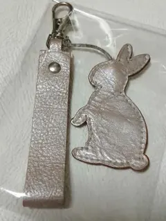 Item thumbnail for item 1fdc4266-49d8-4131-a64b-6cdf0123aa7a