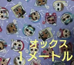 L.O.Lサプライズ！　パープル系　オックス１メートル