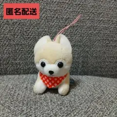 ⑬　豆しば三兄弟　さすけ　寝そべり　ぬいぐるみ　マスコット　新品未使用　訳あり