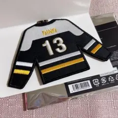 セブチ 25 SEVENTEEN's HOME ワッペン ディノ