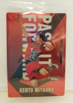 宮浦健人 スポーツ選手