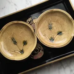 2025年最新】黄瀬戸の人気アイテム - メルカリ