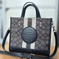 COACH ストライプデザイン ハンドバッグ C8417