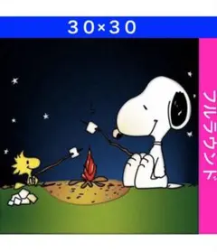 ダイヤモンドアートキットディズニー D-571 ビーズ アート ハンドメイド