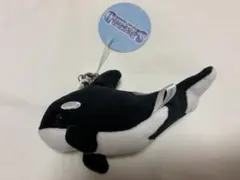鴨川シーワールド ぬいぐるみ キーホルダー シャチのサムネイル