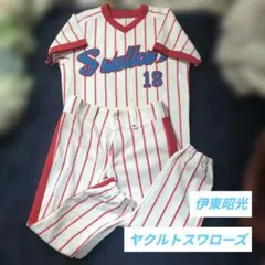 2026年最新】DESCENTE チーム(球団)名：東京ヤクルトスワローズ 野球 