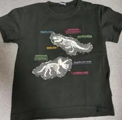 klädskåp 恐竜骨格柄 Tシャツ 110cmのサムネイル