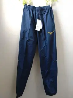 Item thumbnail for item 05a155a9-7f03-4de6-9713-d39471d6dbd0