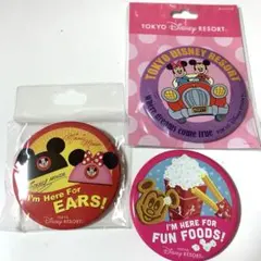 ディズニーランド ディズニーリゾート 缶バッジ セット 車 チュロス イヤハ