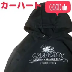 カーハート SUPER DUX グラフィックプリント ルーズフィットパーカー