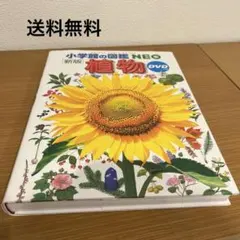 Item thumbnail for item 9198a75f-66e3-4218-89a0-e29f376191da