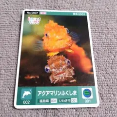 ロゲットカード　アクアマリンふくしま　1枚