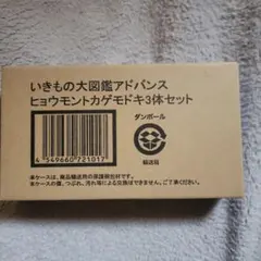 いきもの大図鑑アドバンス　ヒョウモントカゲモドキ3体セット