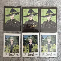 セベク ツイステ展 ランダムカードコレクション ぱしゃこれ ブルームバースデー