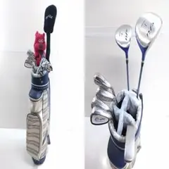 2026年最新】レディースゴルフクラブセット ナイキの人気アイテム