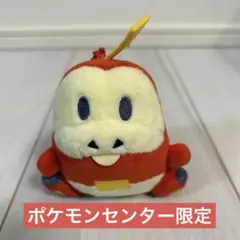 【ポケモンセンター】ホゲータ ぬいぐるみ マスコット 約10cm 美品