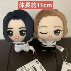 LE SSERAFIM ちびぐるみ　FEARLESS ウンチェ&カズハ