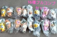 StrayKids SKZOOつまんでつなげてますこっと16種フルコンプリート