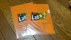 【新品未使用】ふなっしー✩Ａ５クリアファイル　チームラボ