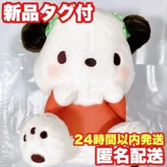 【ポチャッコ】サンリオキャラクターズ まるまるおみみ BIGぬいぐるみ