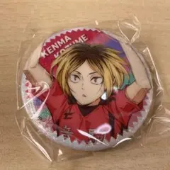 ハイキュー‼︎ ラメグリッター　缶バッジ