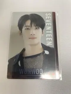 SEVENTEEN ウォヌ　ウエハース　トレカ